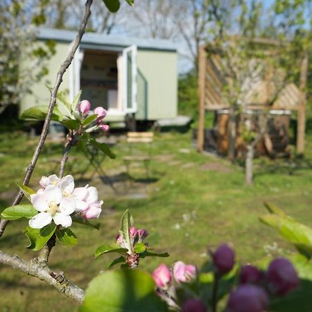 Appartamento Hillcrest Hut Tenby Esterno foto