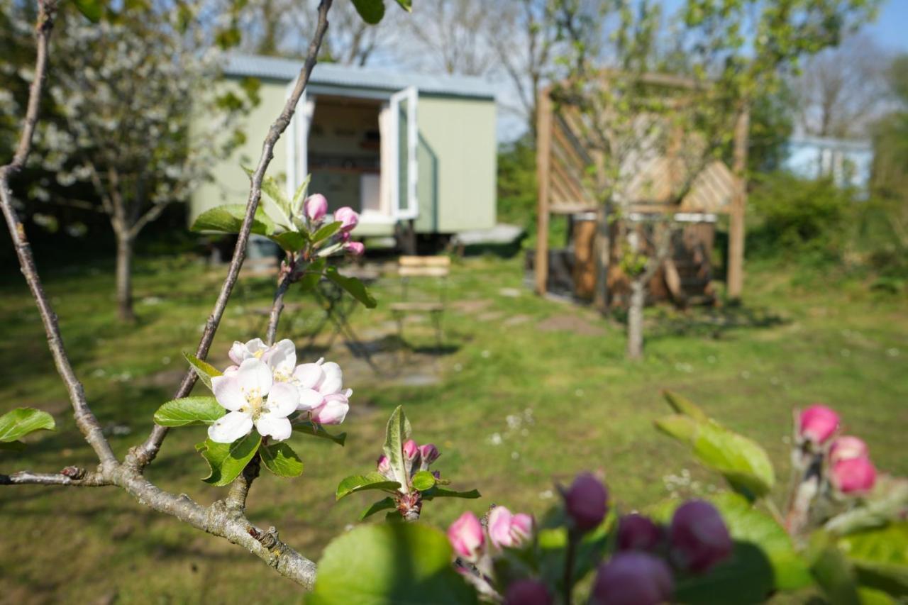 Appartamento Hillcrest Hut Tenby Esterno foto