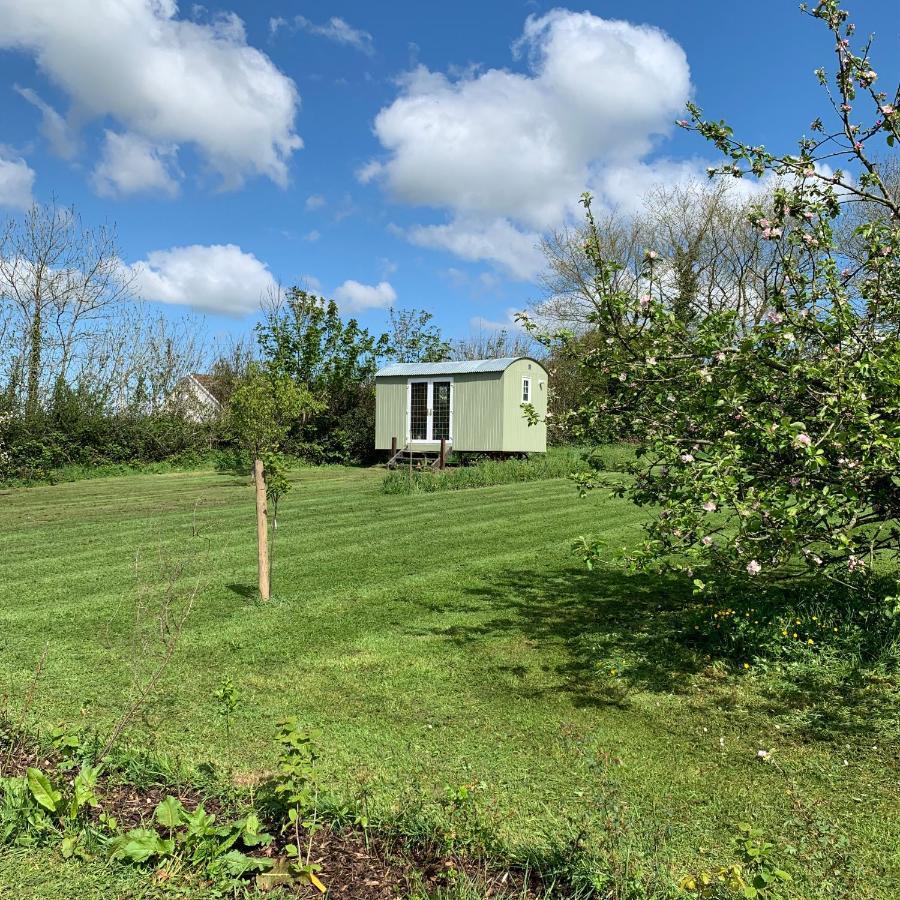 Appartamento Hillcrest Hut Tenby Esterno foto