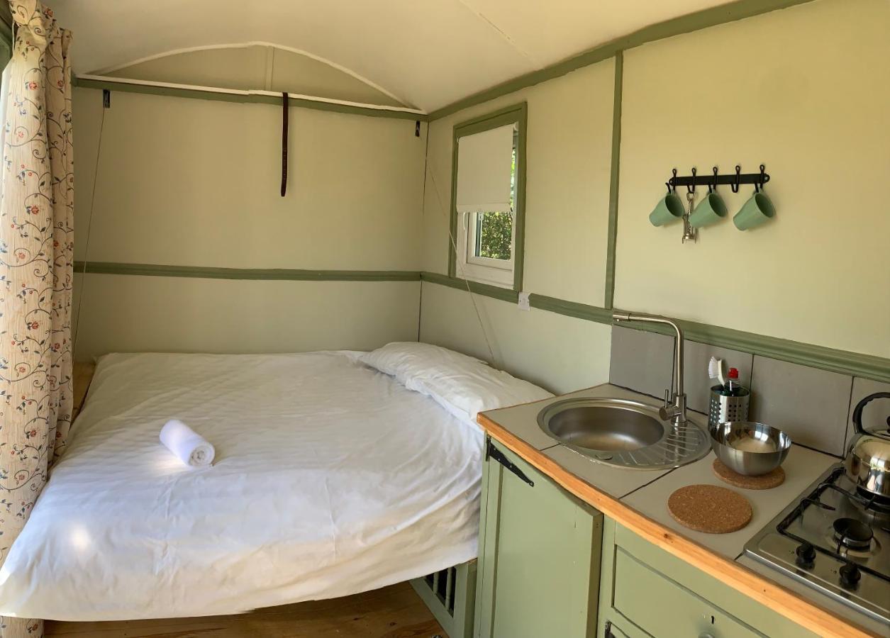 Appartamento Hillcrest Hut Tenby Esterno foto