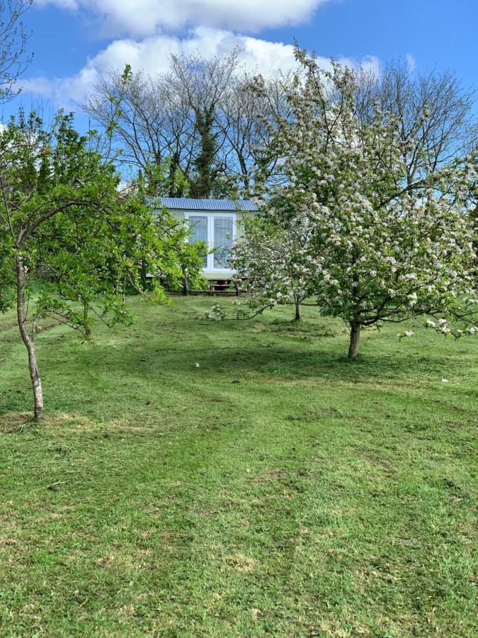 Appartamento Hillcrest Hut Tenby Esterno foto