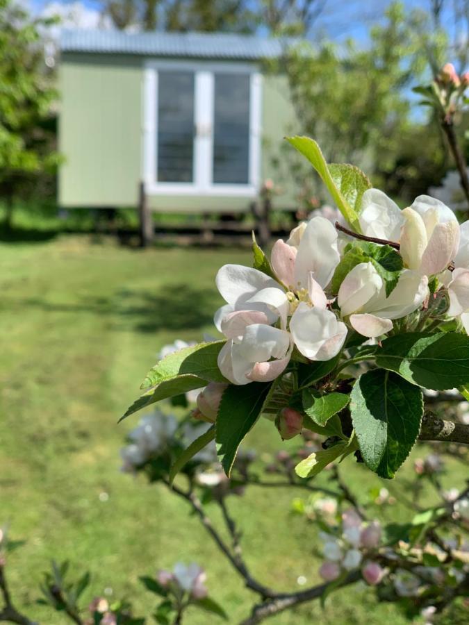 Appartamento Hillcrest Hut Tenby Esterno foto